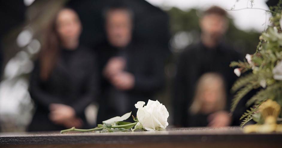 A white flower on a coffin